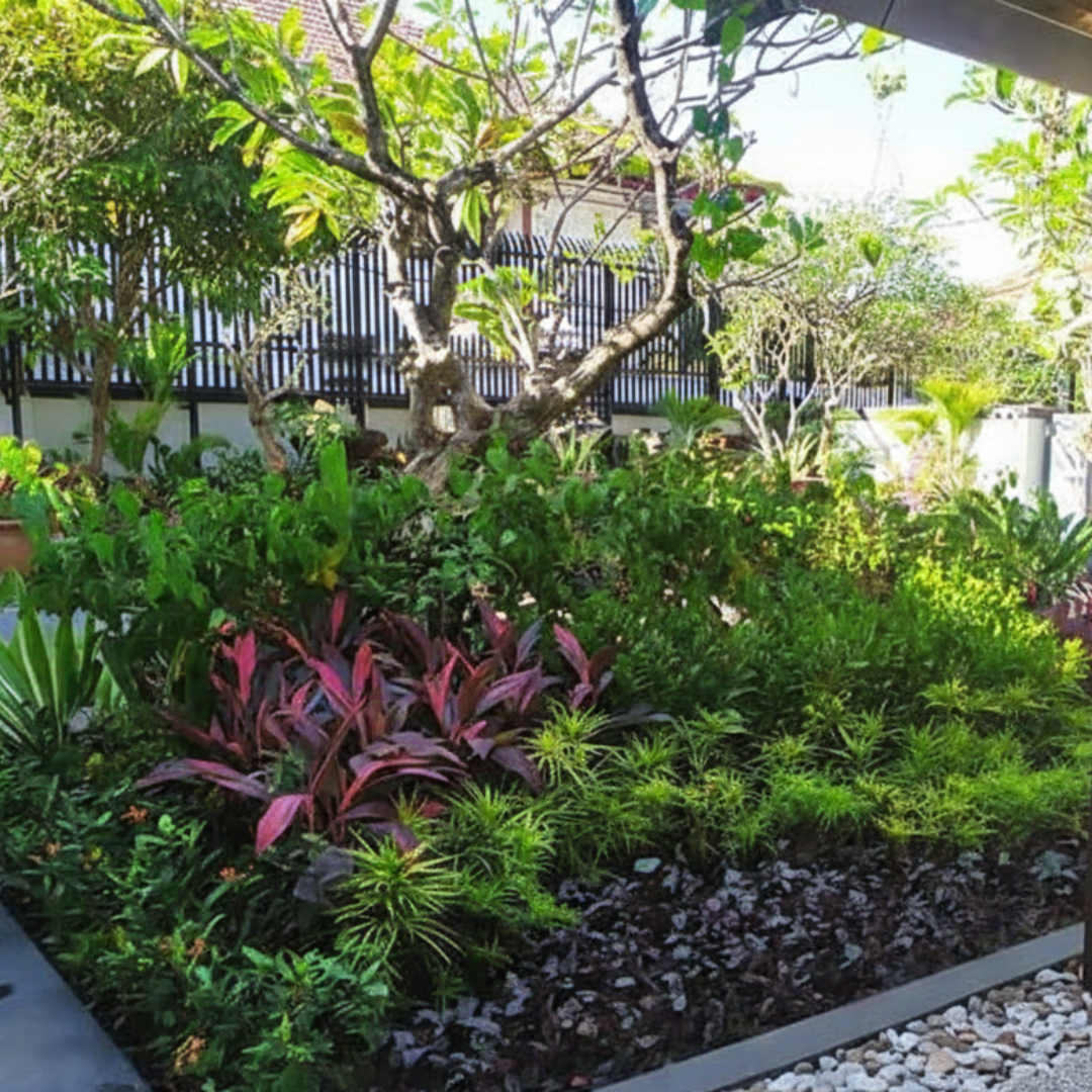 Tropical villa landscape garden Bali by Lumina Landscapes